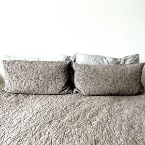 Southern living 2 gray king size pillow shams